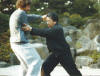 Tai Chi Kampfkunst Meister Fu